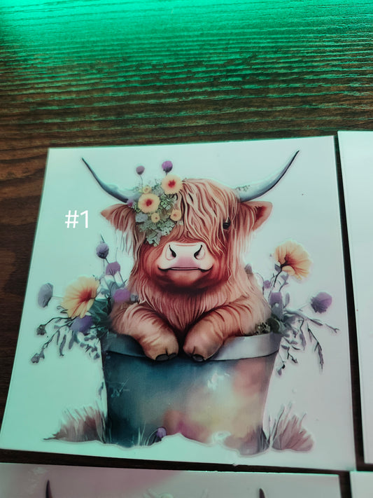 Cow Decals