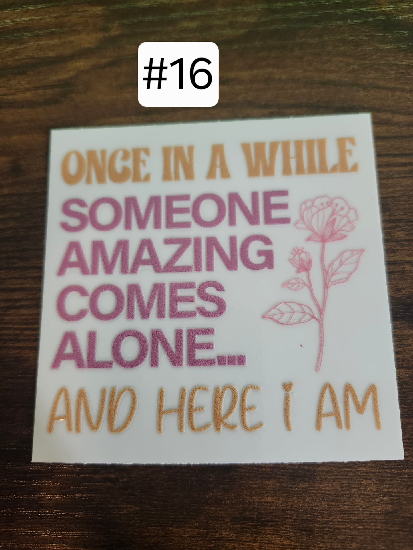 Funny Saying Decals