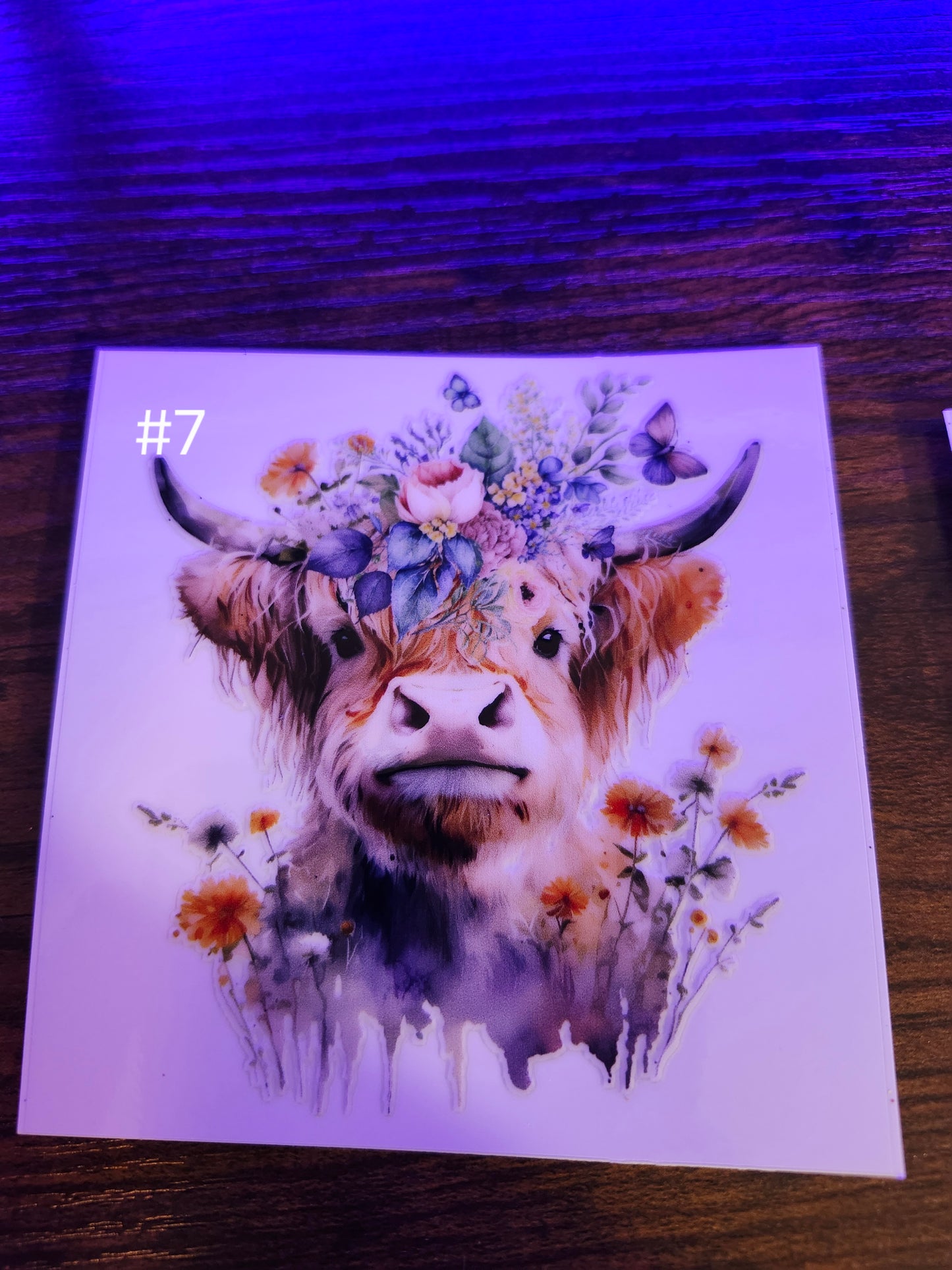 Cow Decals